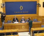 Roma - Aborto, conferenza stampa di Andrea Napoli (''Pensiero Celeste'') (12.12.14)