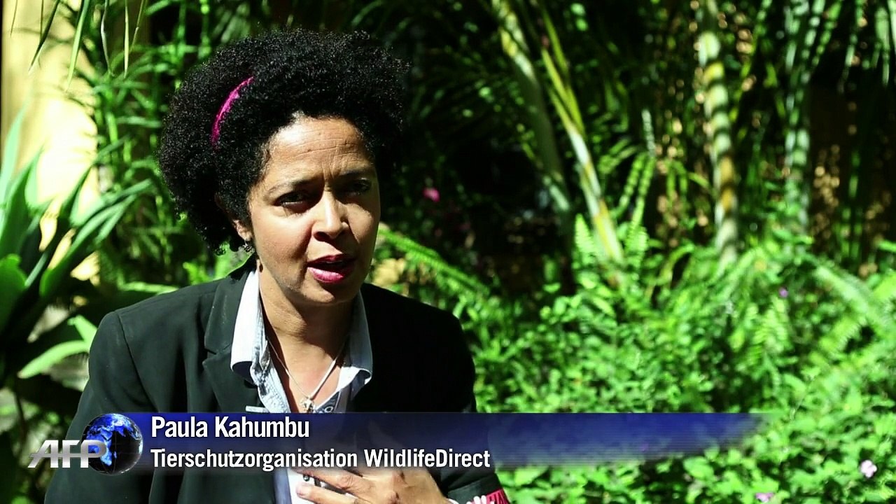Wildtierparadies am rande von nairobi in gefahr