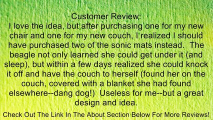 Chair Defender. Keep Pets Off Furniture Review