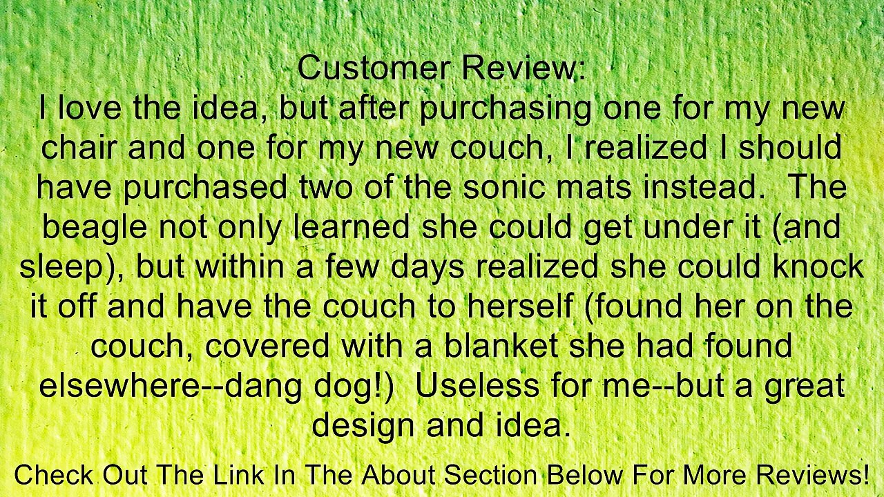 Chair Defender. Keep Pets Off Furniture Review