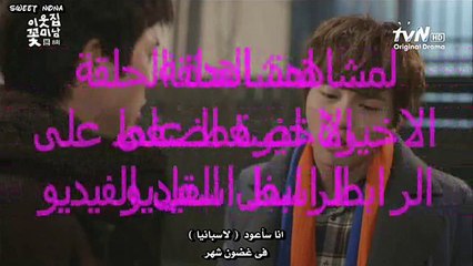 مسلسل حضرة الجار الوسيم الحلقة الاخيرة كاملة مترجمة