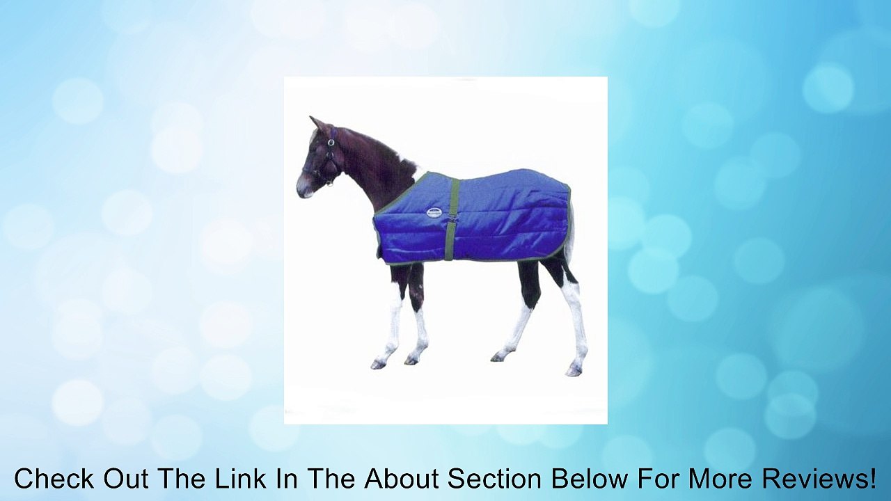 Weatherbeeta Growing Foal Blanket Review