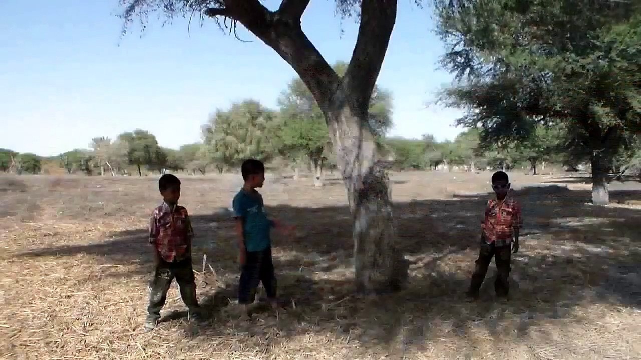 Kids Dual Role