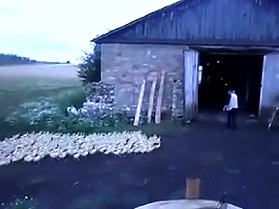 THIS VIDEO WILL MAKE YOU LAUGHING