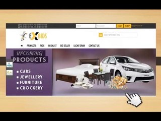 How Exbids Operate Explained