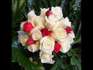 سورة الماعون عبد الباسط  عبد الصمد ترتيل amer