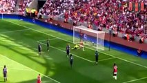 Tomáš Rosický - Best Skills & Goals - Arsenal FC - 2014 - HD