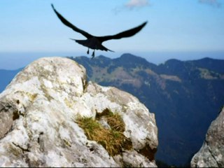 InVersos: Fernando Campos de Castro - Regresso