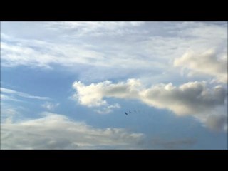 Skeletons With Love ( Pre Studio Tracks )