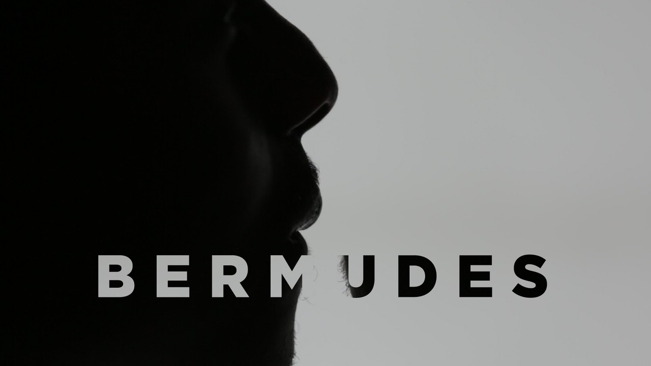 FAUVE ≠ BERMUDES