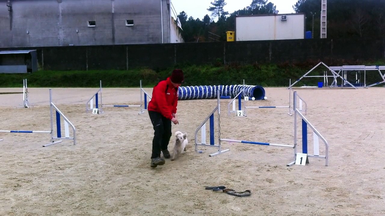 Monica & Baffy - Prueba RSCE ACADE CANESPORT - 2ª Manga MINI GRADO 0 [Sabado 13Dic. 2014 - Campo de Reis, Pontevea - TEO]