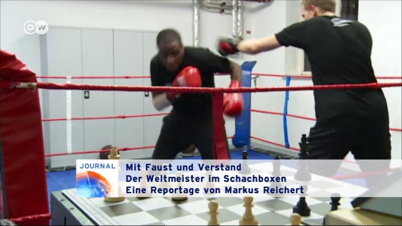 Schachboxen - faust trifft verstand | journal