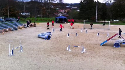 Jorge & Daxa - Prueba RSCE ACADE CANESPORT - 1ª Manga ESTANDAR GRADO 2 [Sabado 13Dic. 2014 - Campo de Reis, Pontevea - TEO]