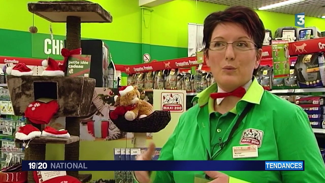 Noël : les animaux aussi seront gâtés