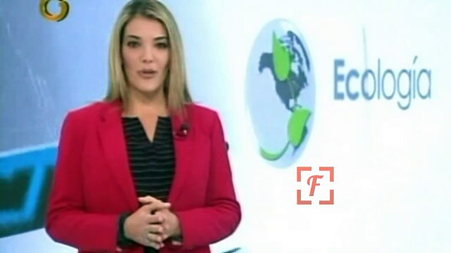 Periodista de Globovisión, Karen Bitton anuncia en vivo que se va del país