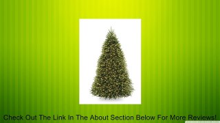 National Tree Company 9-Feet Dunhill Fir Tree with 900 Clear Lights Review