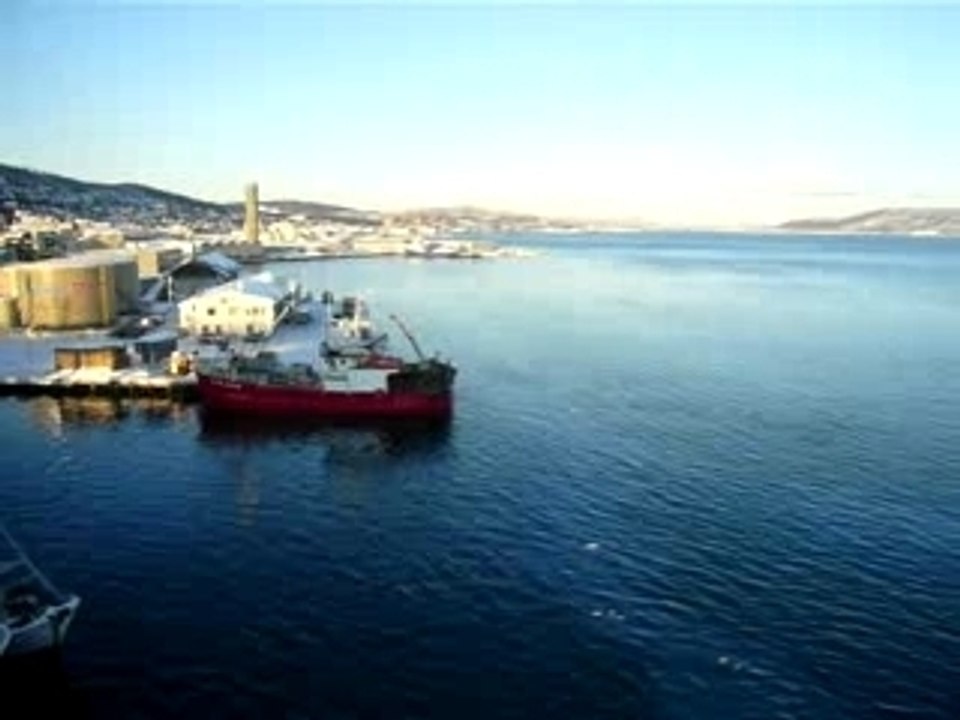 tromso eau mouette