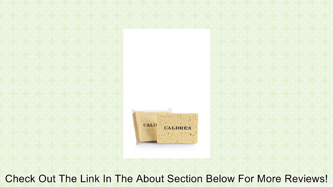Caldrea Pop-up Sponges Review