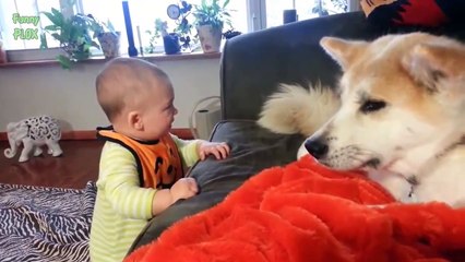 Funny Babies Talking to Dogs Compilation NEW YEAR