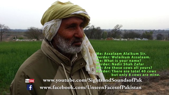 Cattle Herder in Punjab Pakistan with English Translation