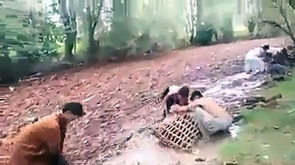 How Pathans in Pakistan Collect woods