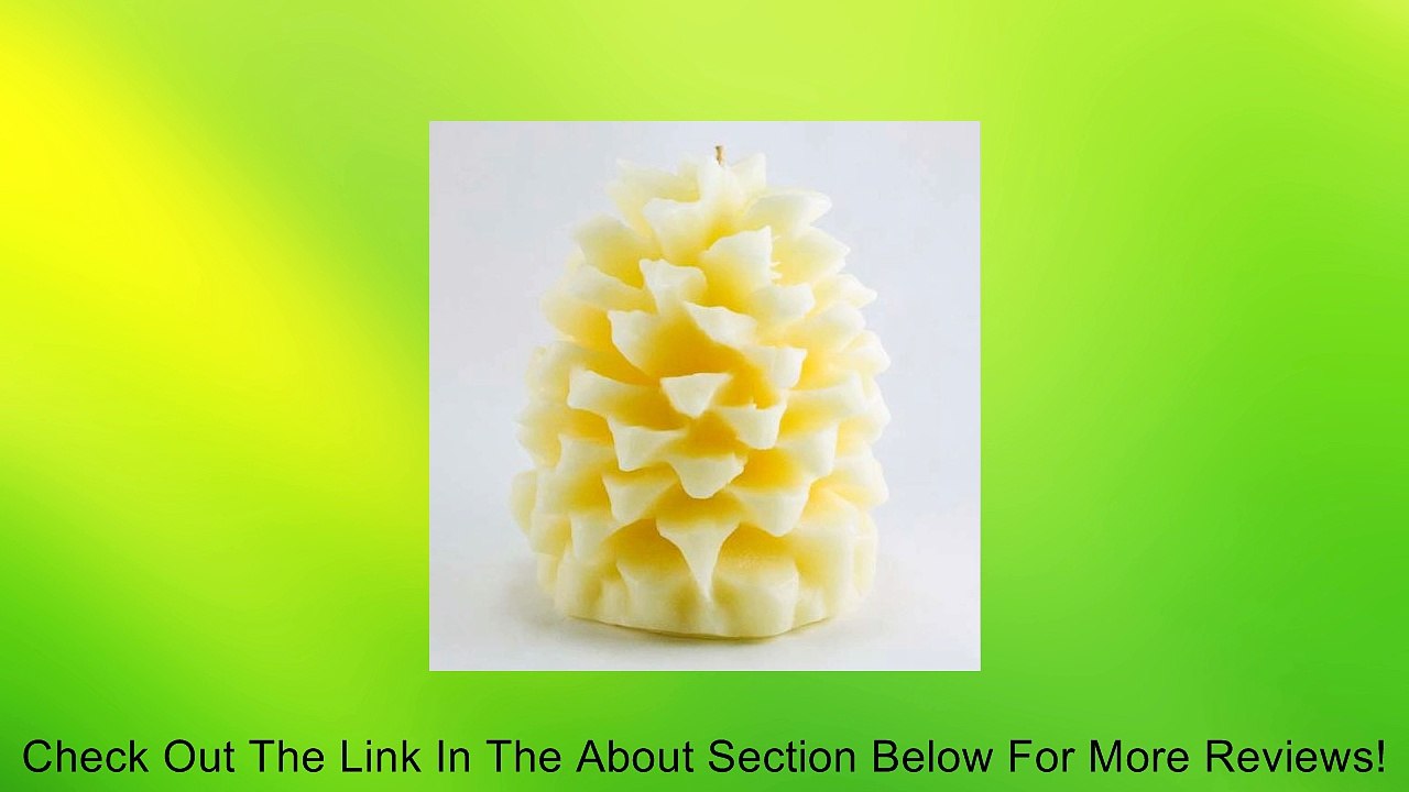 Aspen Bay Tin Roof White Pinecone Candle Review