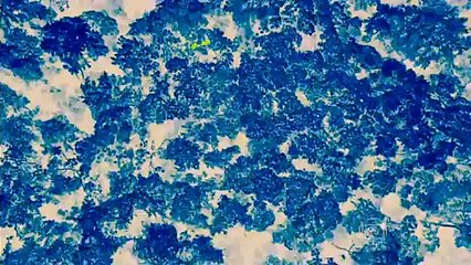 Série DUPLA IDENTIDADE -  Capítulo 12 COMPLETO 12-12-2014