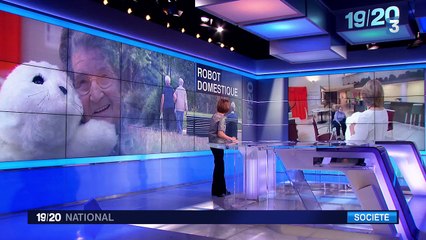 Plush PARO robot arrives in France - News