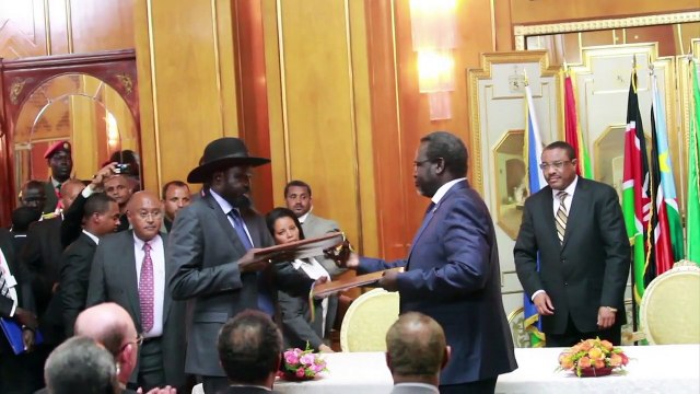 La guerre civile ravage le jeune Soudan du Sud depuis un an