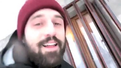 Why Chihuahuas do not run in the snow - Animals