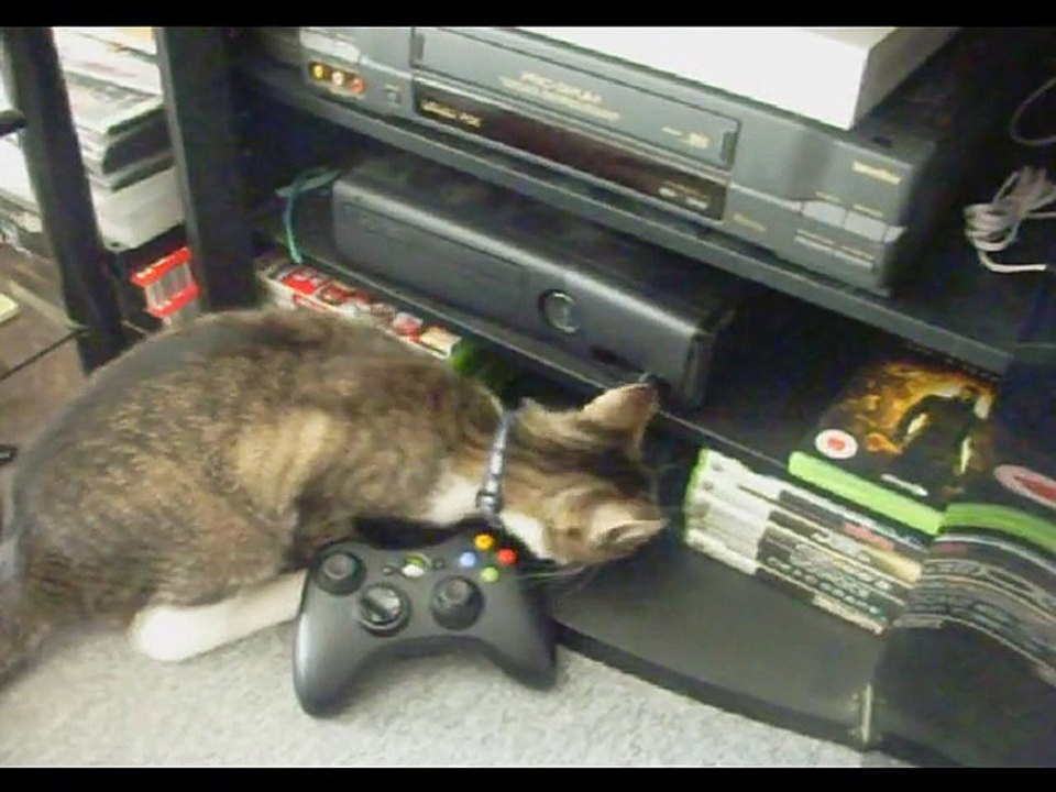 la chatte vs la xbox !