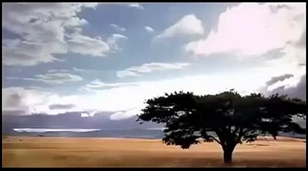 The Great Zebra Exodus - Incredible Nature Documentary (HD)