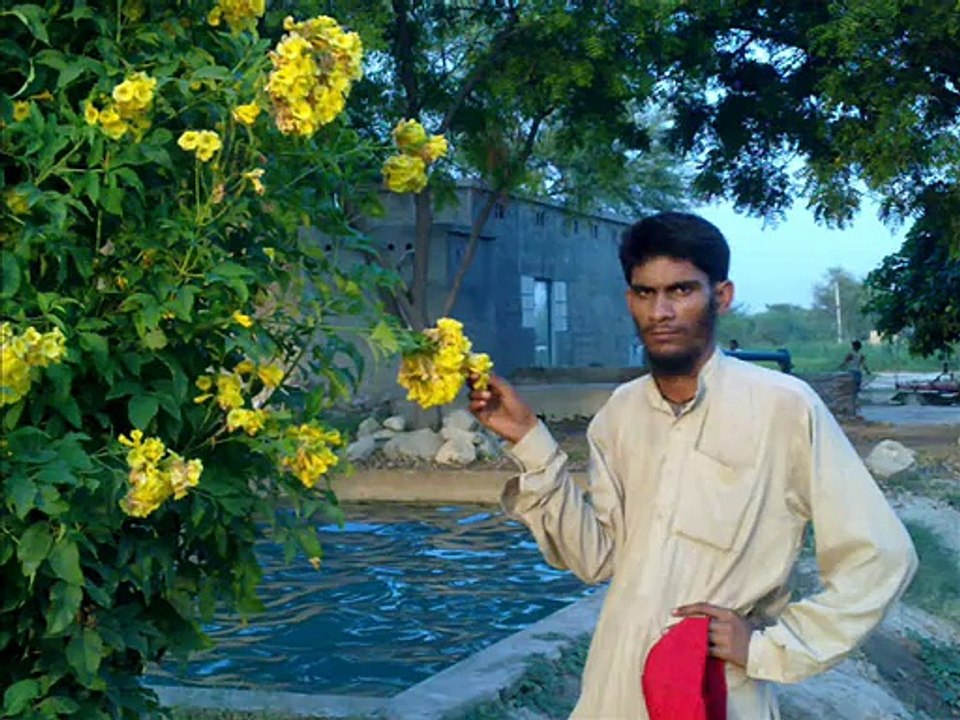 eid