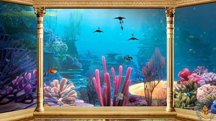 Аквариумный парк Иришкиного периода