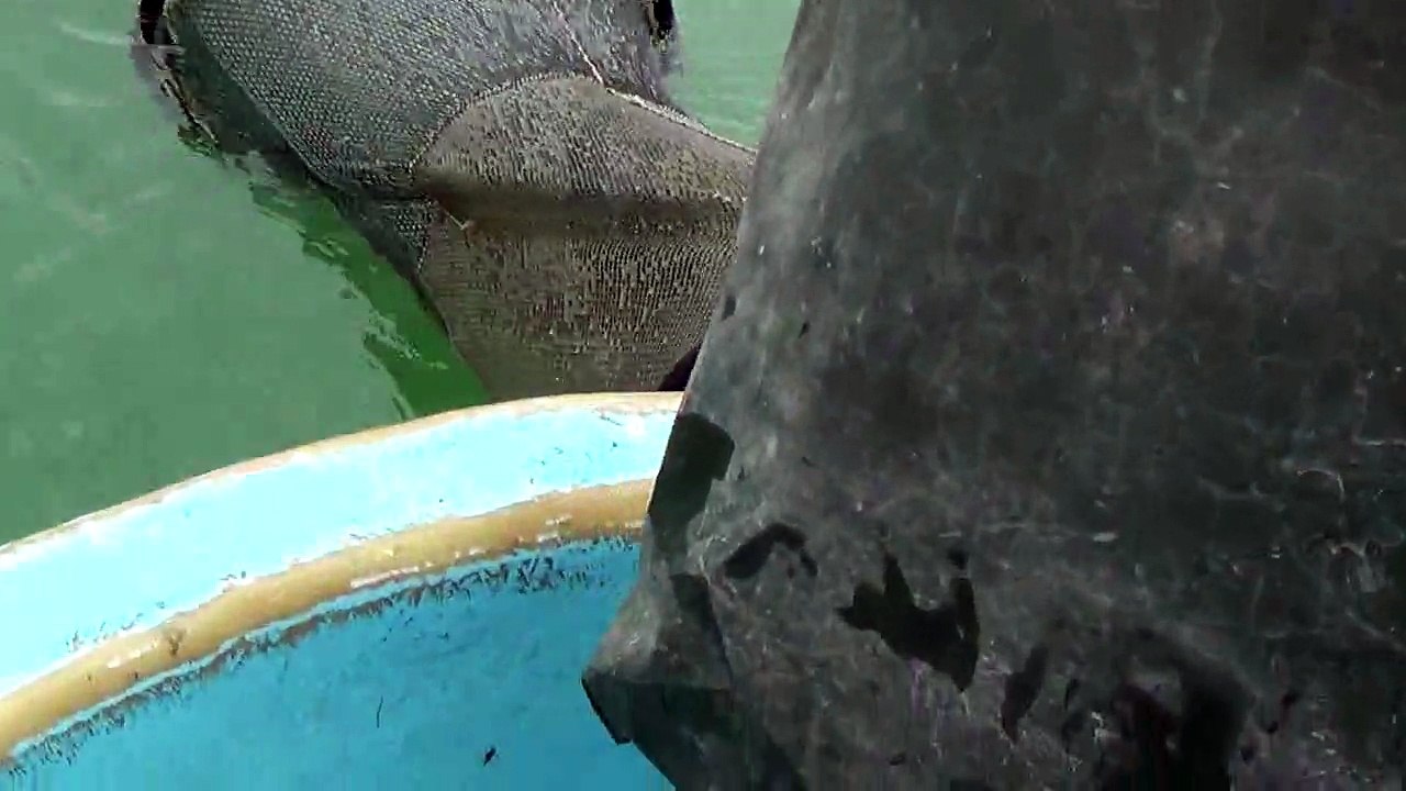 pose d'un filet verveux dans un étang pour une peche sélèctive www.tremail.fr