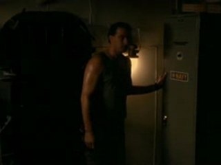 Accouplement des cigales