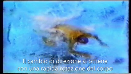 Didattica - I cambi di direzione secondo Farago