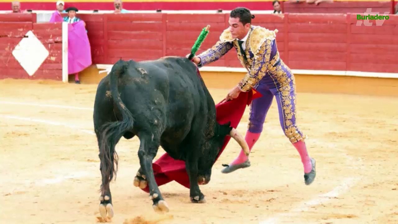 David Fernández 2014