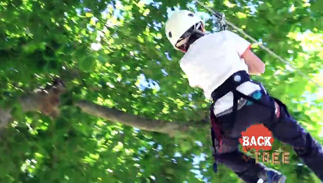 Tyrolienne - Back to the tree