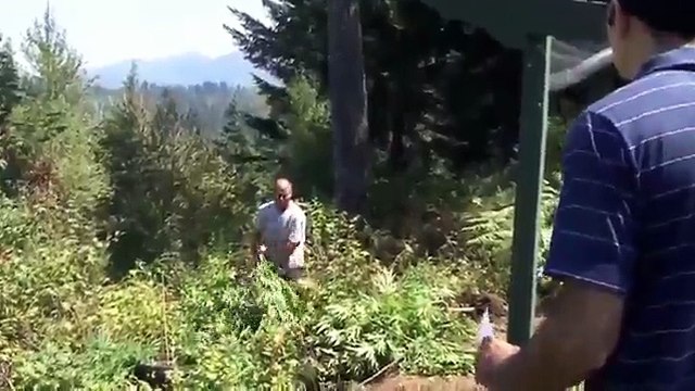 Crazy Landlord Steals And Burns Tenants Medical Marijuana Plants