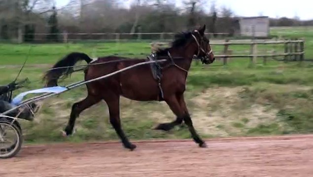 DISCO QUEEN EN PISTE APRES SON DEBOURRAGE