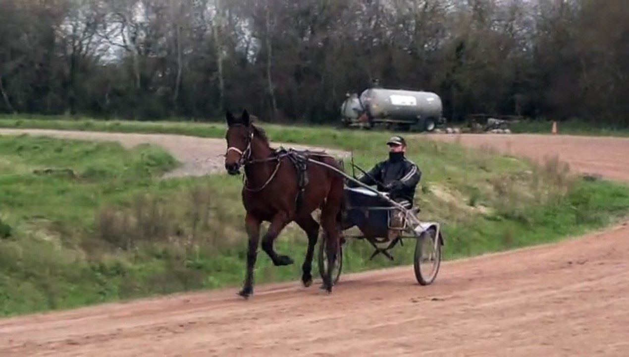 DELICIOUS QUEEN EN PISTE APRES SON DEBOURRAGE