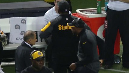 Tomlin gets fired up on sideline