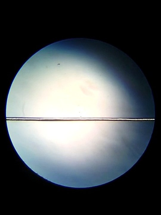 Examining the hair under the microscope_2014 12