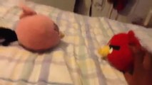 Angry Birds Crazy Amazing Adventures:Red's Slumber Party