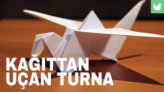 Kağıttan Uçan Turna