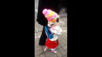 Dog can walk like little girl on street