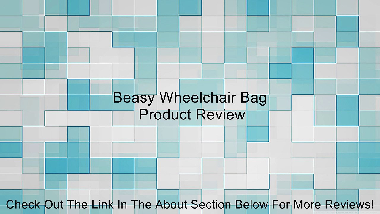 Beasy Wheelchair Bag Review