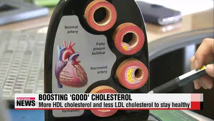 Increase 'good' cholesterol to control overall cholesterol level