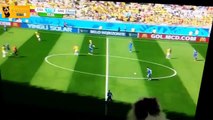 Funny Cats and Dogs Watching the World Cup 2014 - 720p - HD - Funny 2014